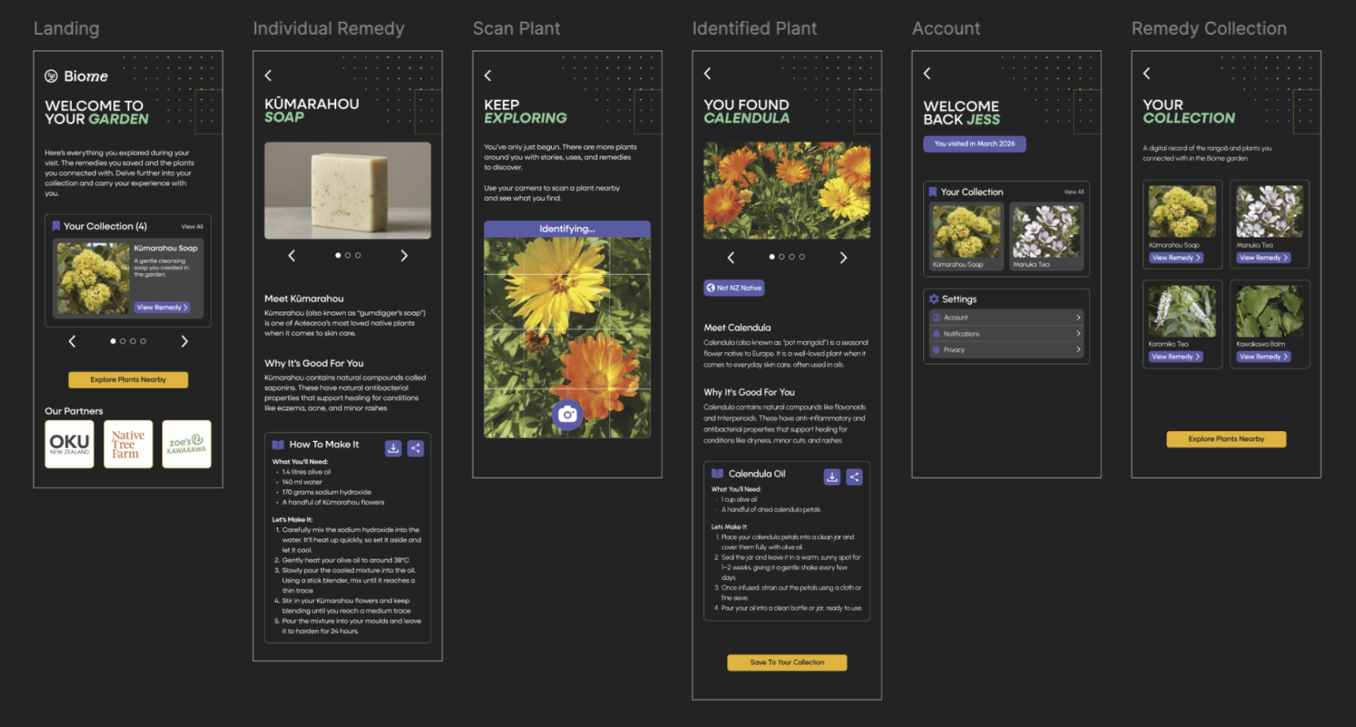 Wireframes