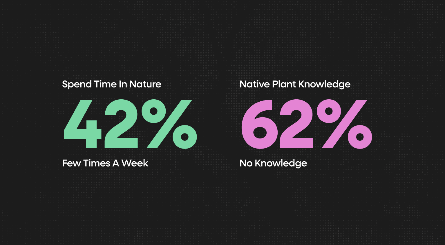 Survey Insights