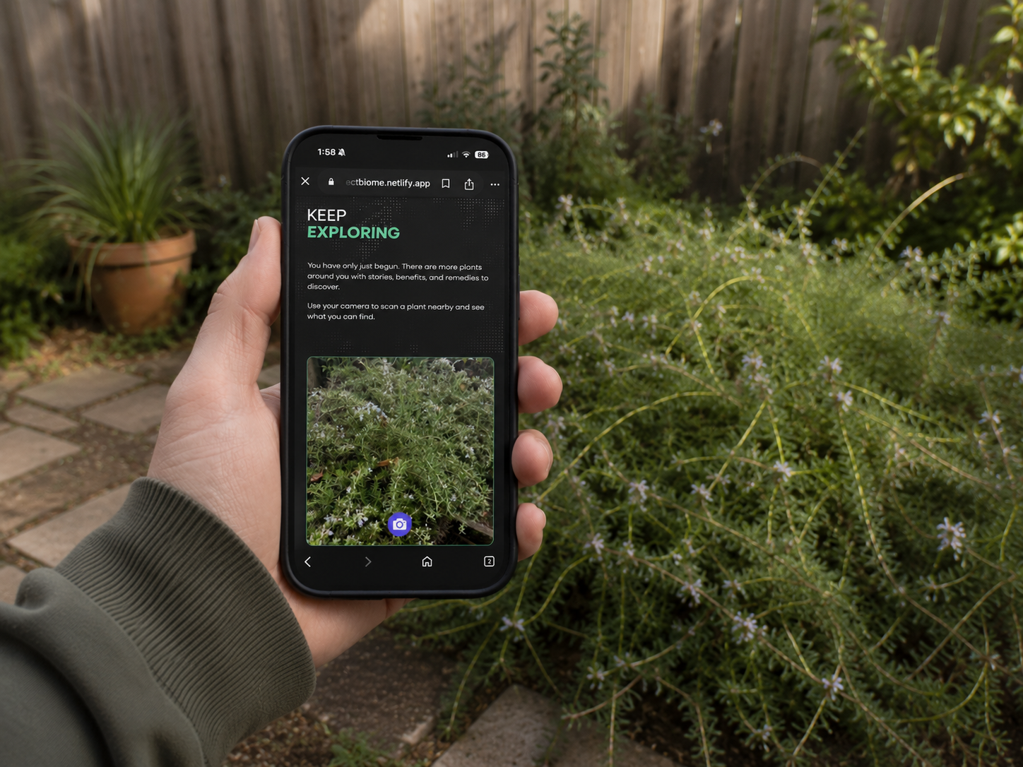Mobile App Interface